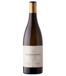 J.FERNANDO SAUVIGNON BLANC