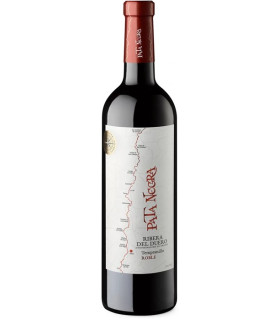 PATA NEGRA RIBERA DEL DUERO TINTO